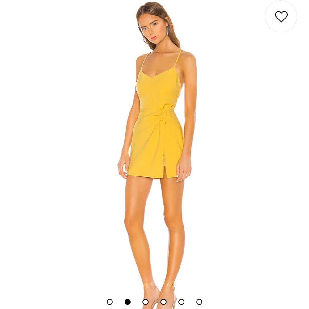 NBD Venice Blvd dress